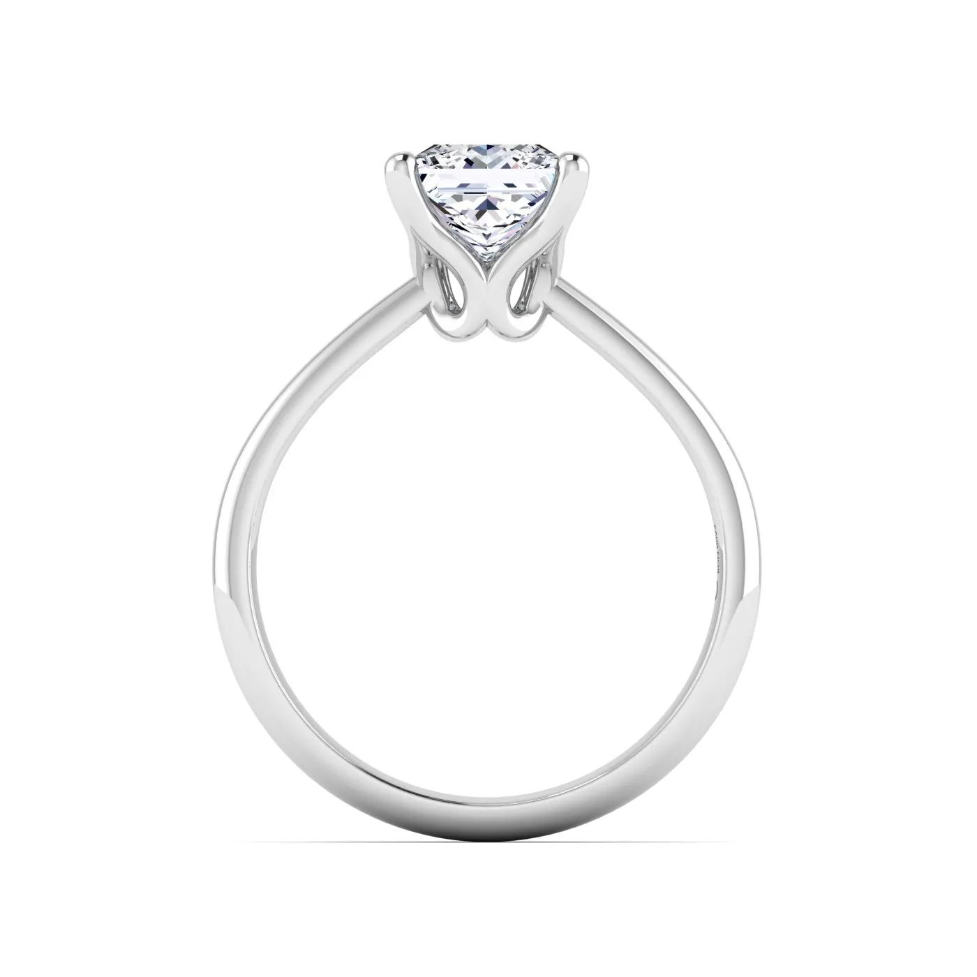 Ring Image 5