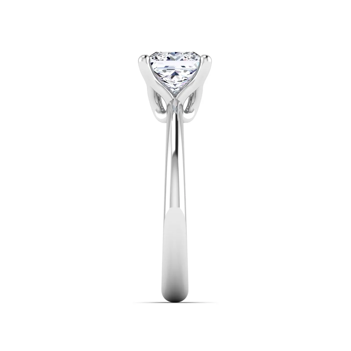 Ring Image 6