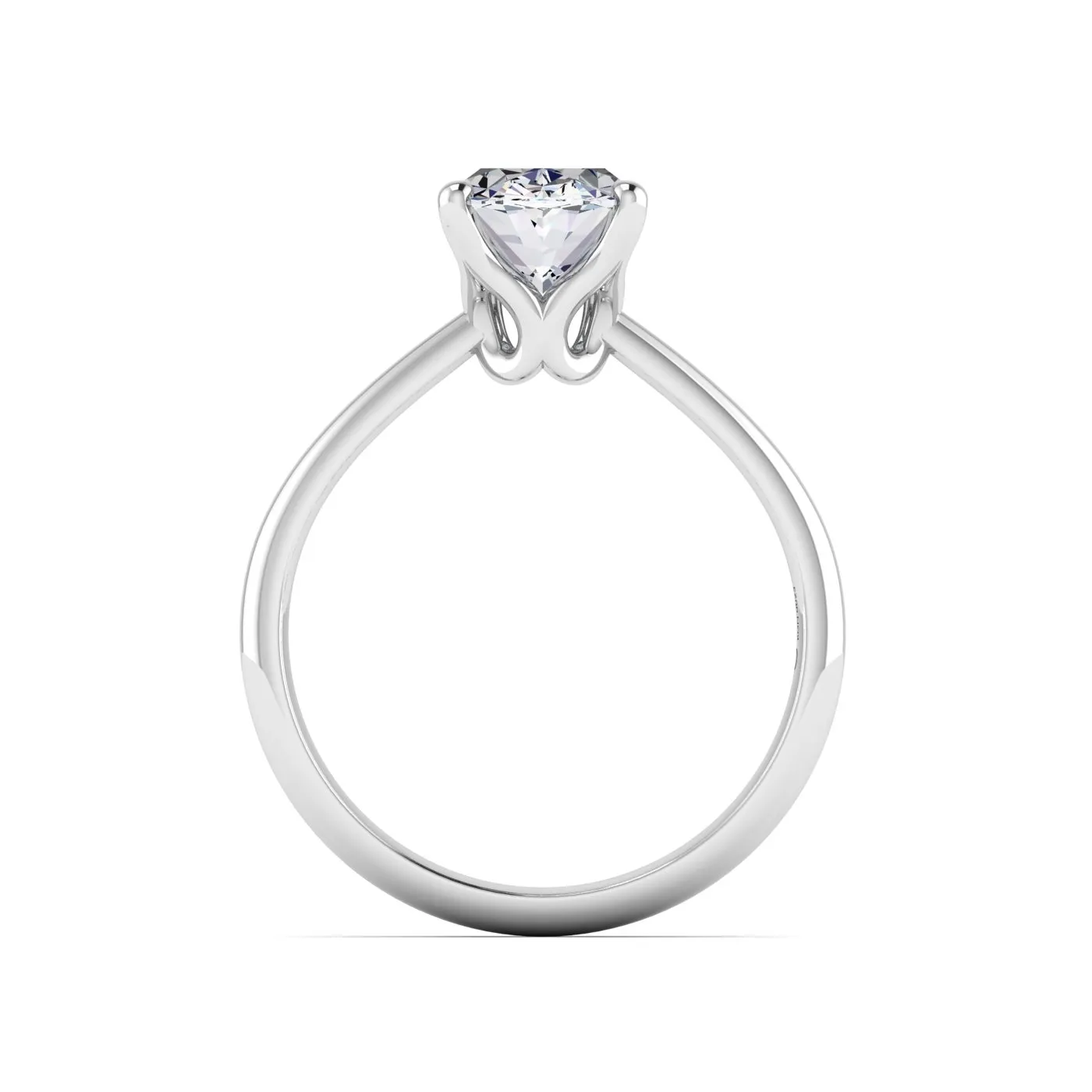 Ring Image 4