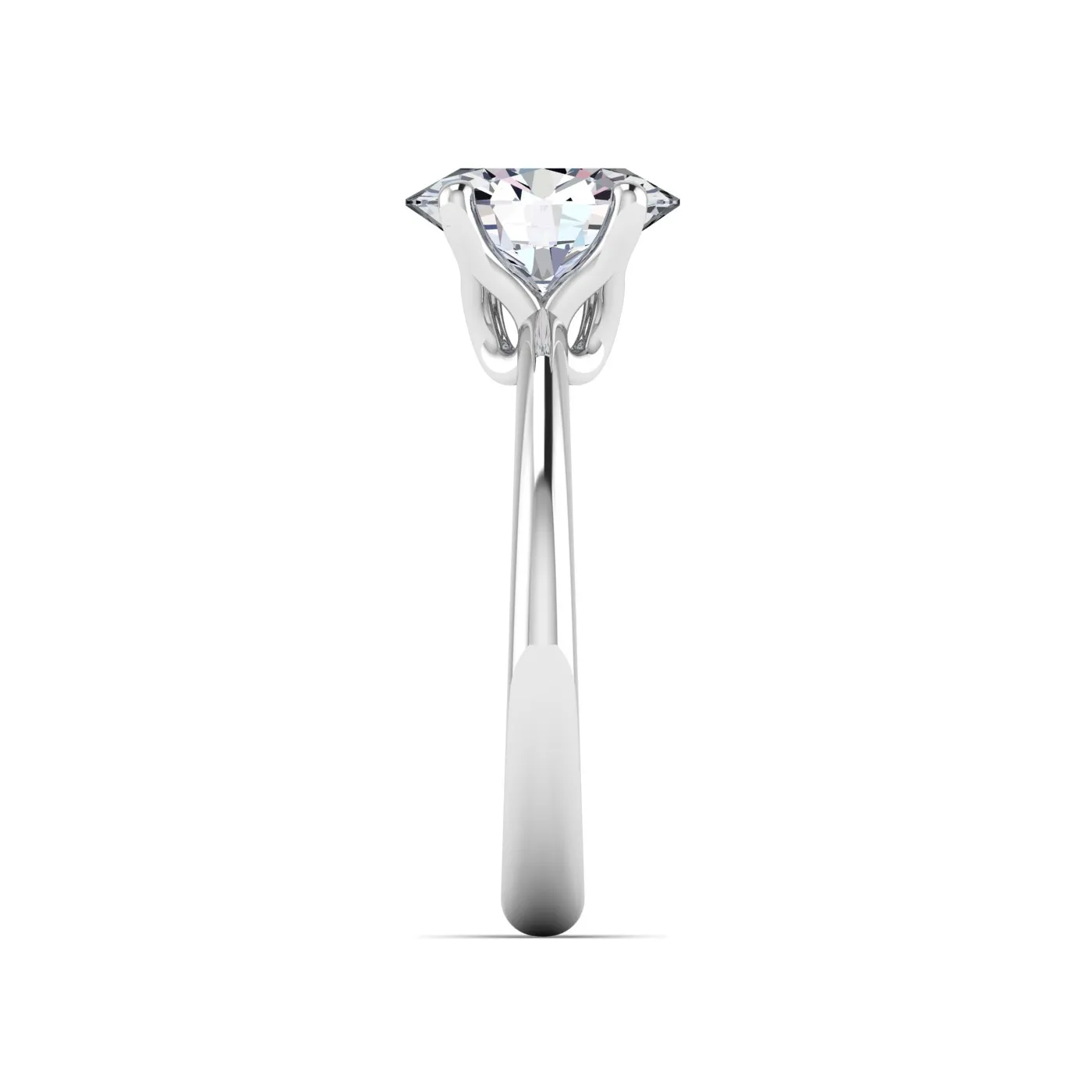 Ring Image 5