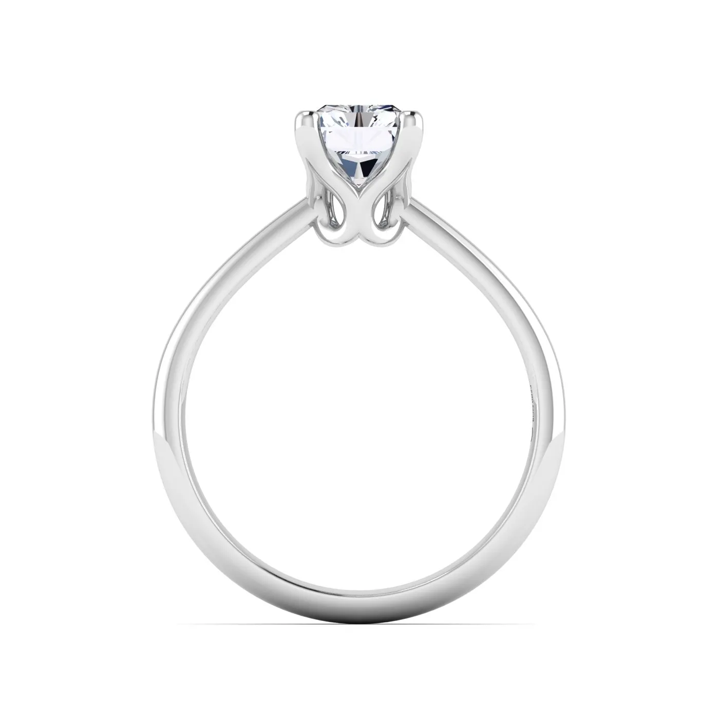 Ring Image 5