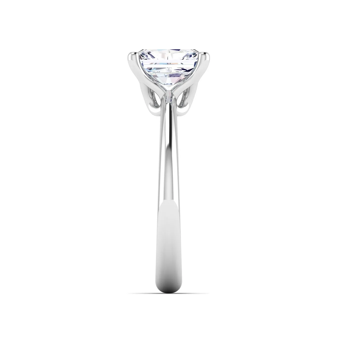 Ring Image 6