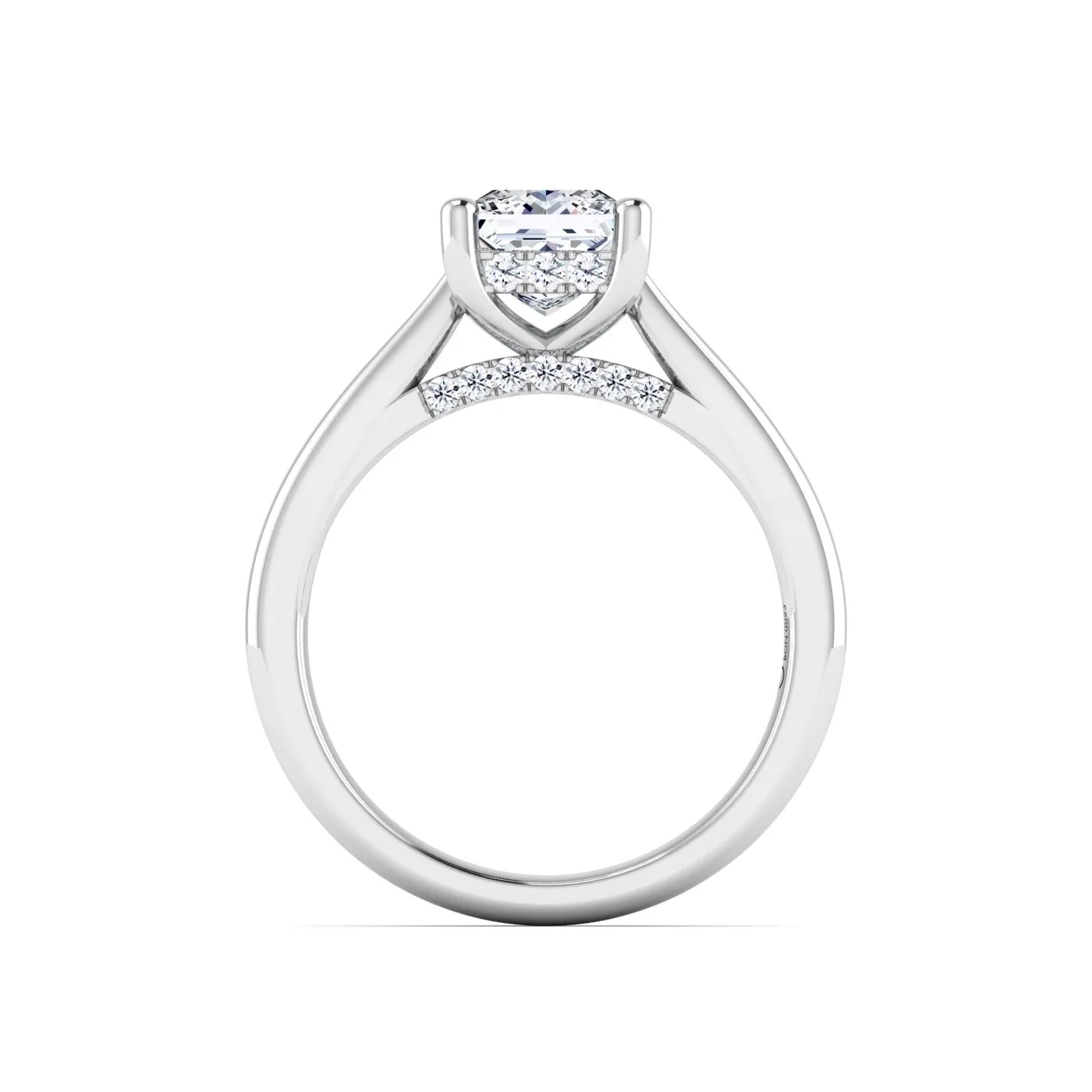Ring Image 3