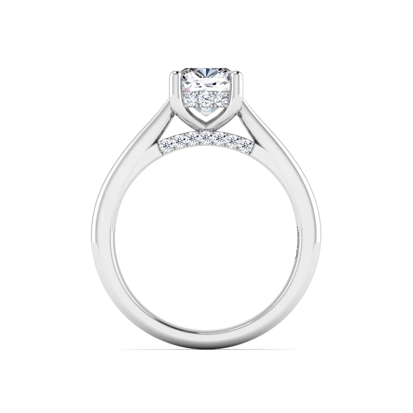 Ring Image 4