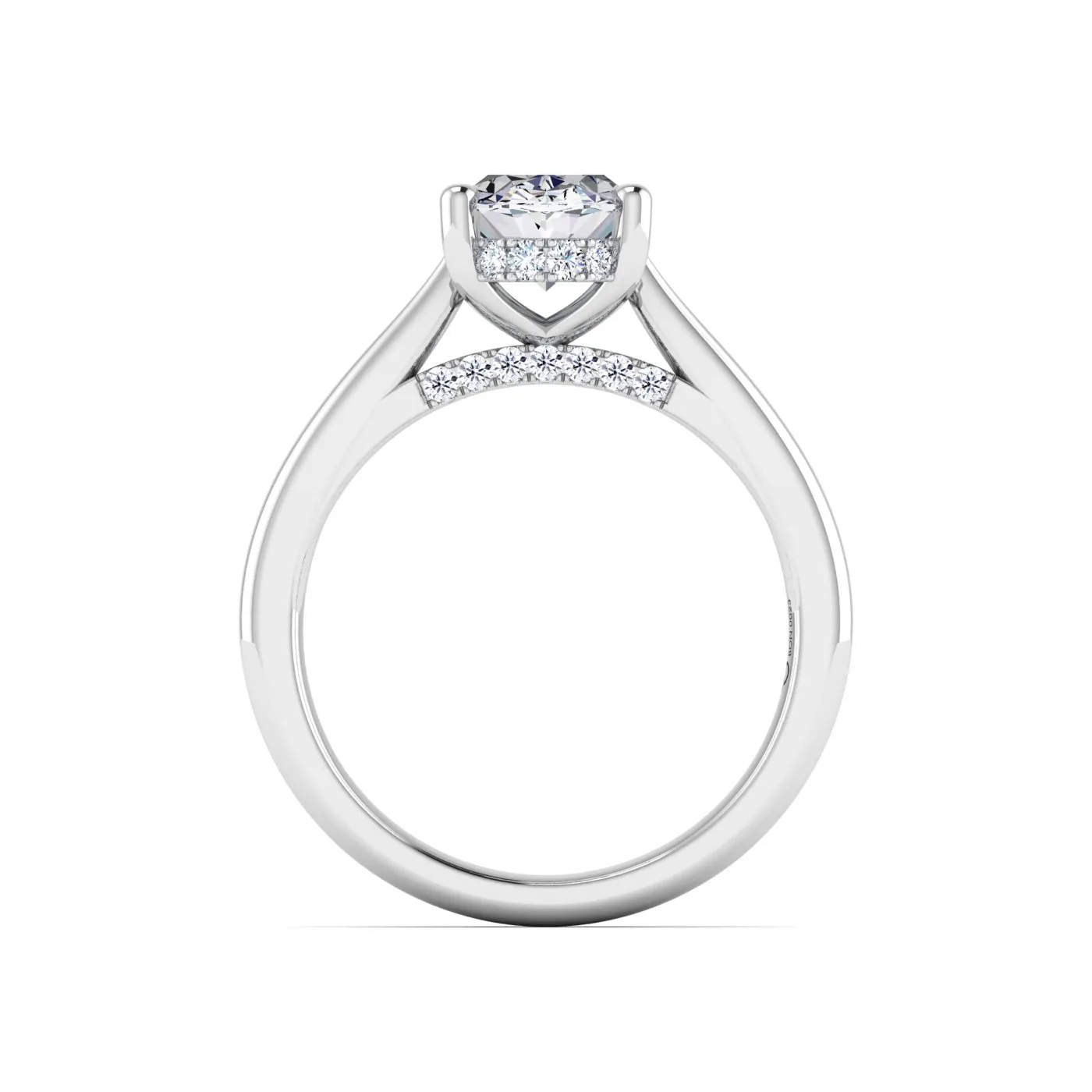 Ring Image 5