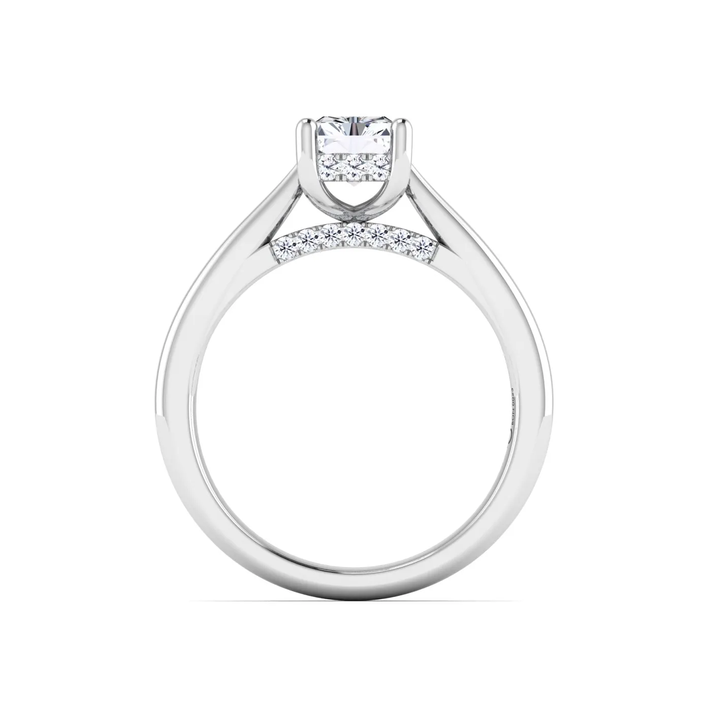 Ring Image 4