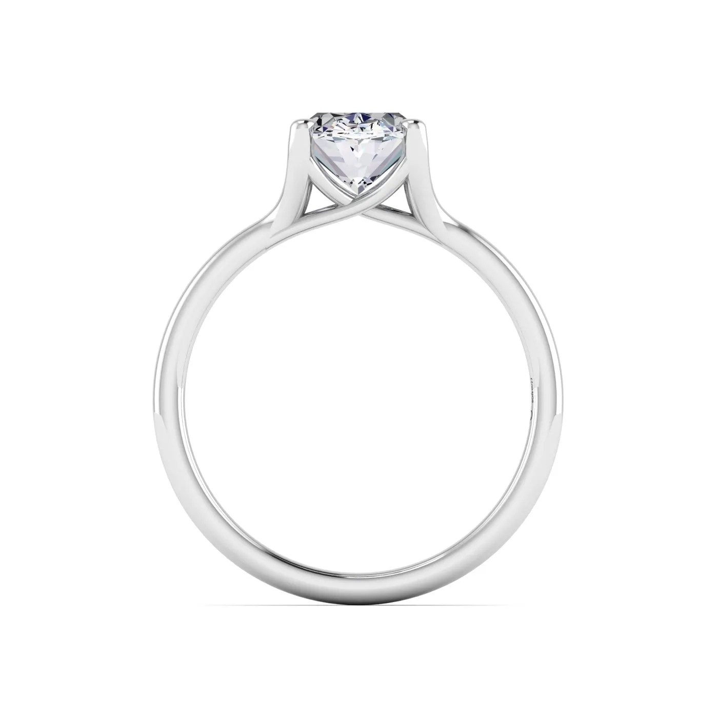 Ring Image 4