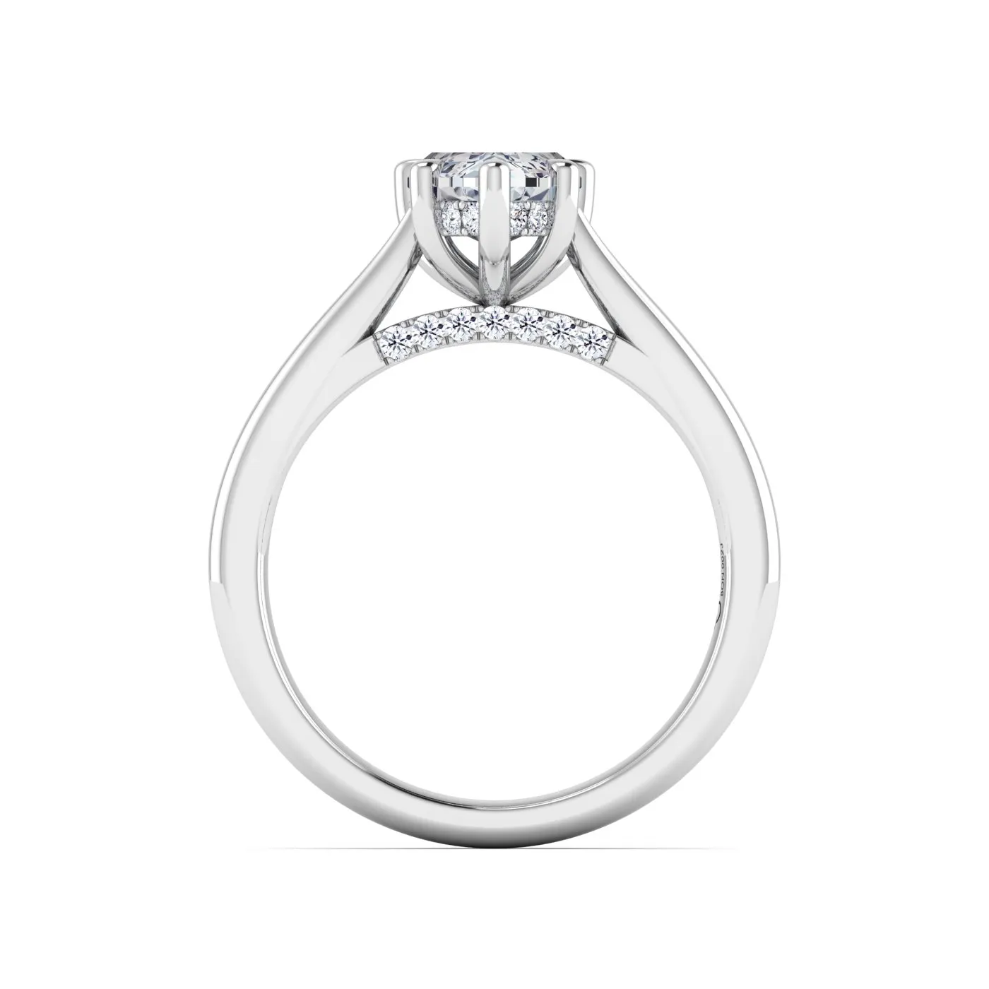 Ring Image 4