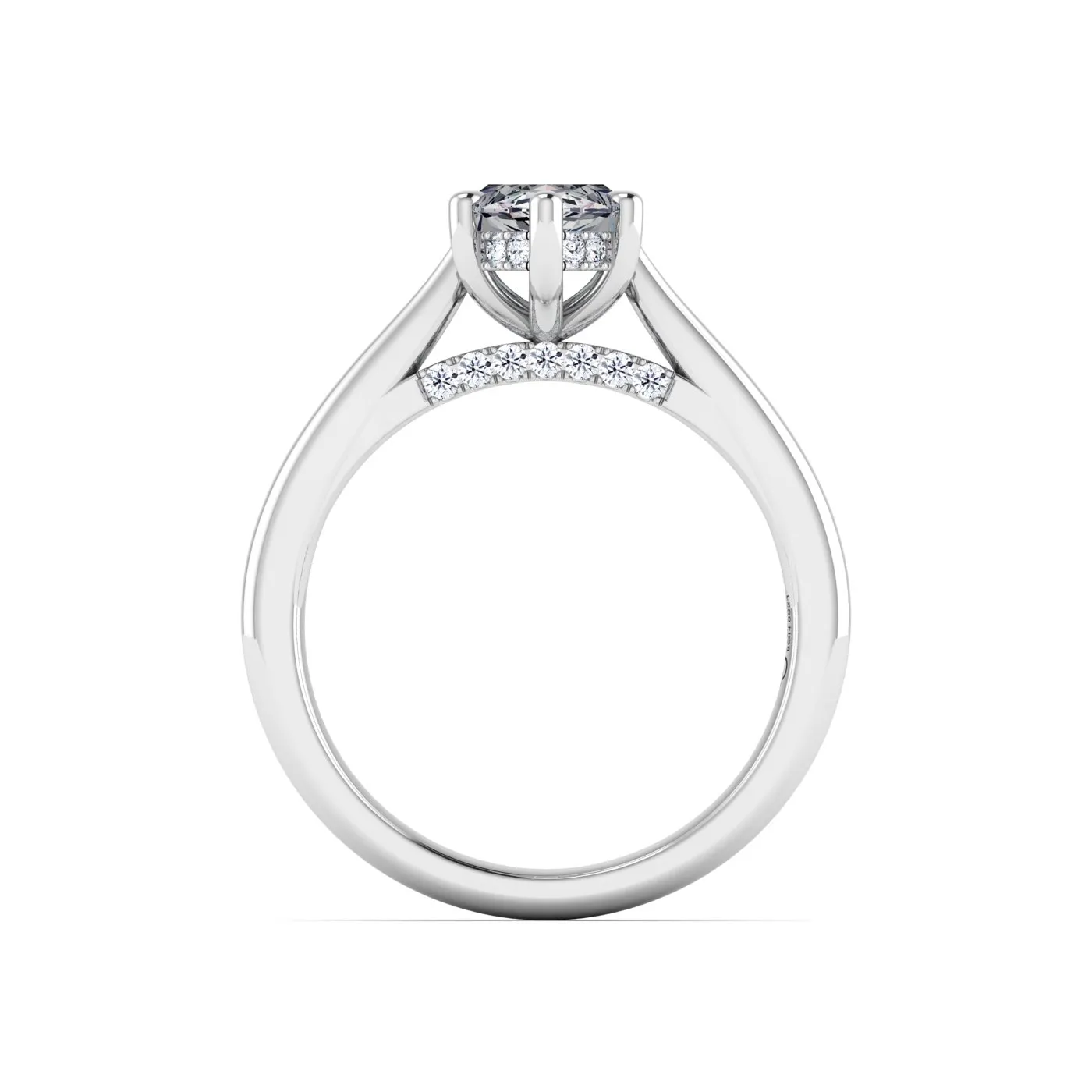 Ring Image 4