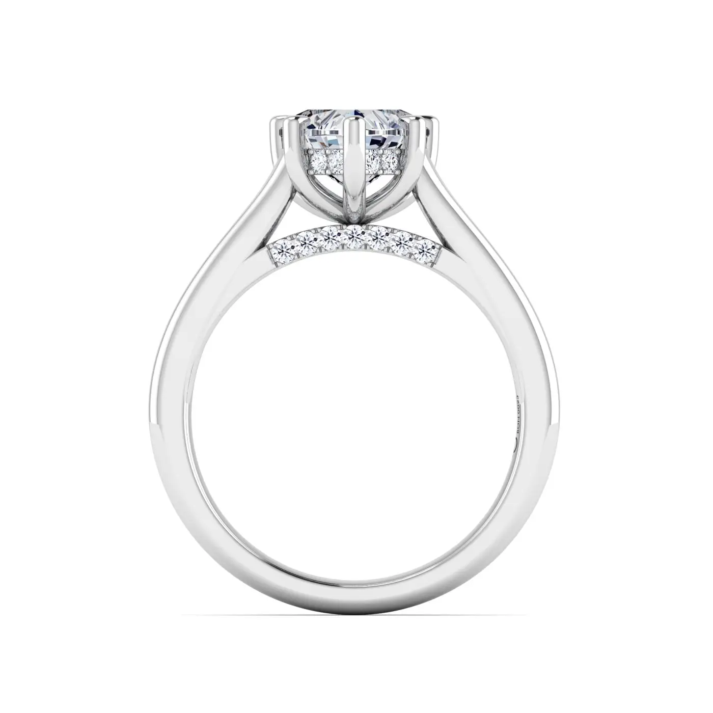 Ring Image 4
