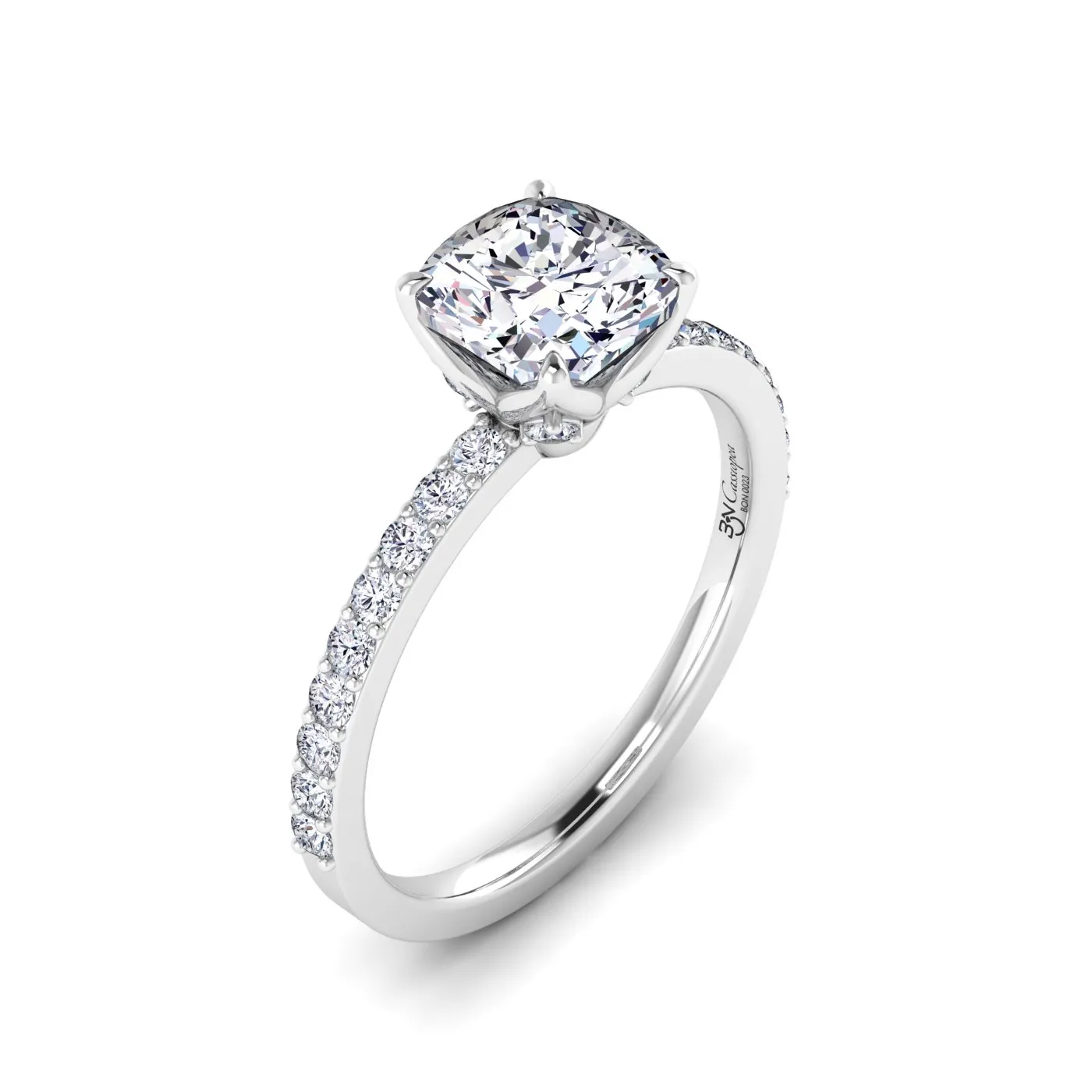 Ring Image 2
