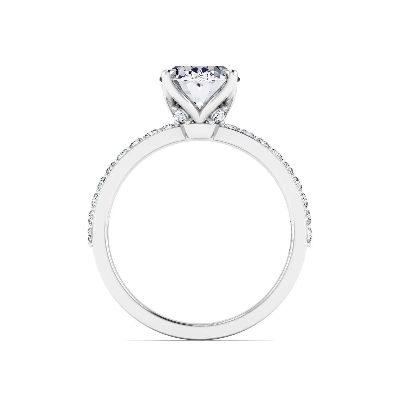 Ring Image 6