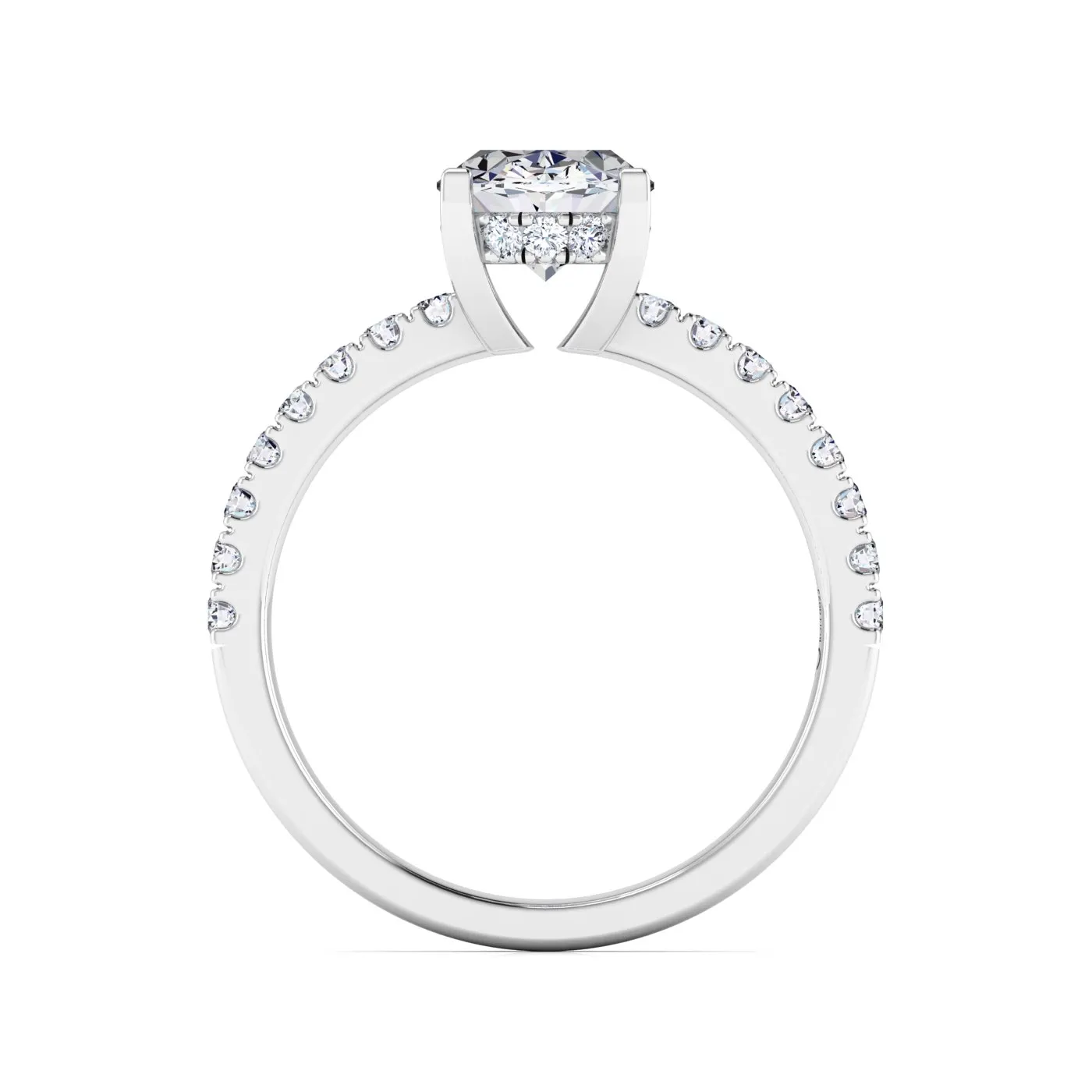 Ring Image 6