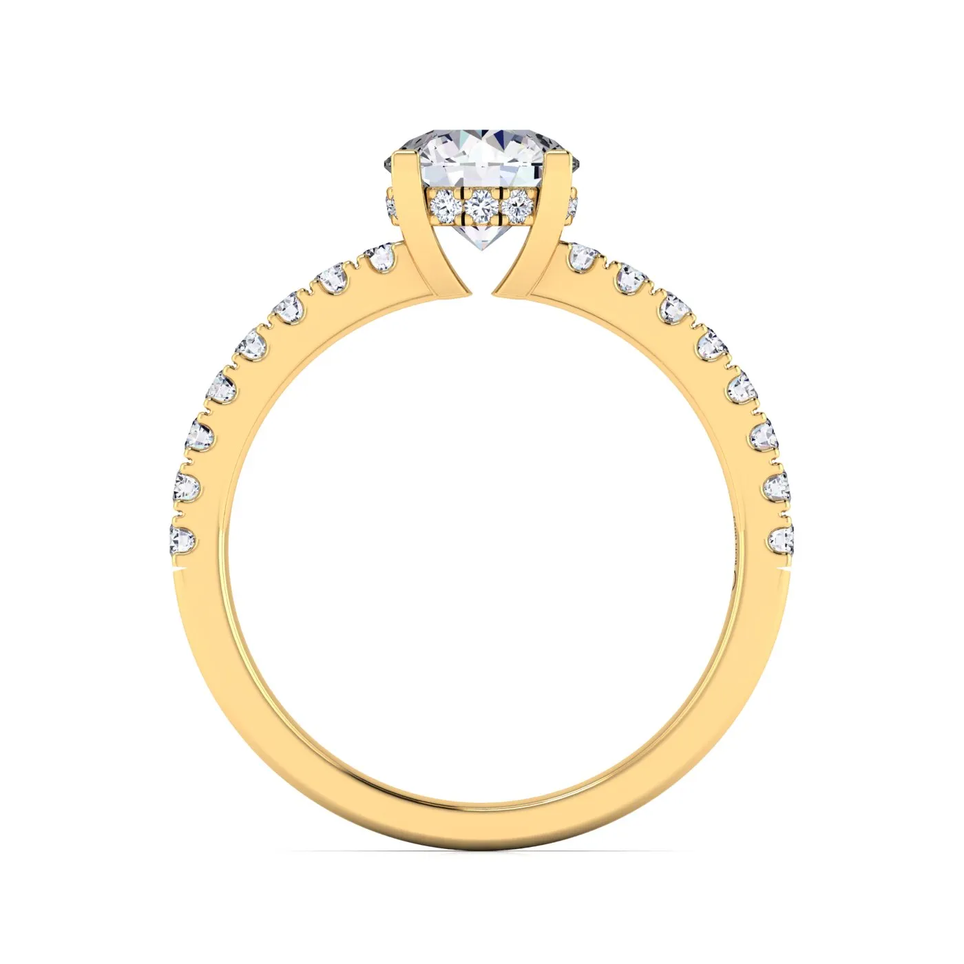 Ring Image 5