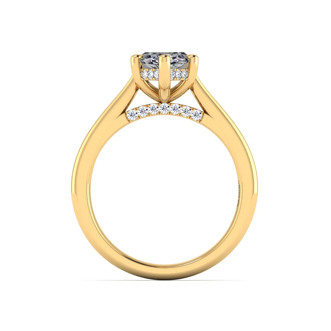 Ring Image 5