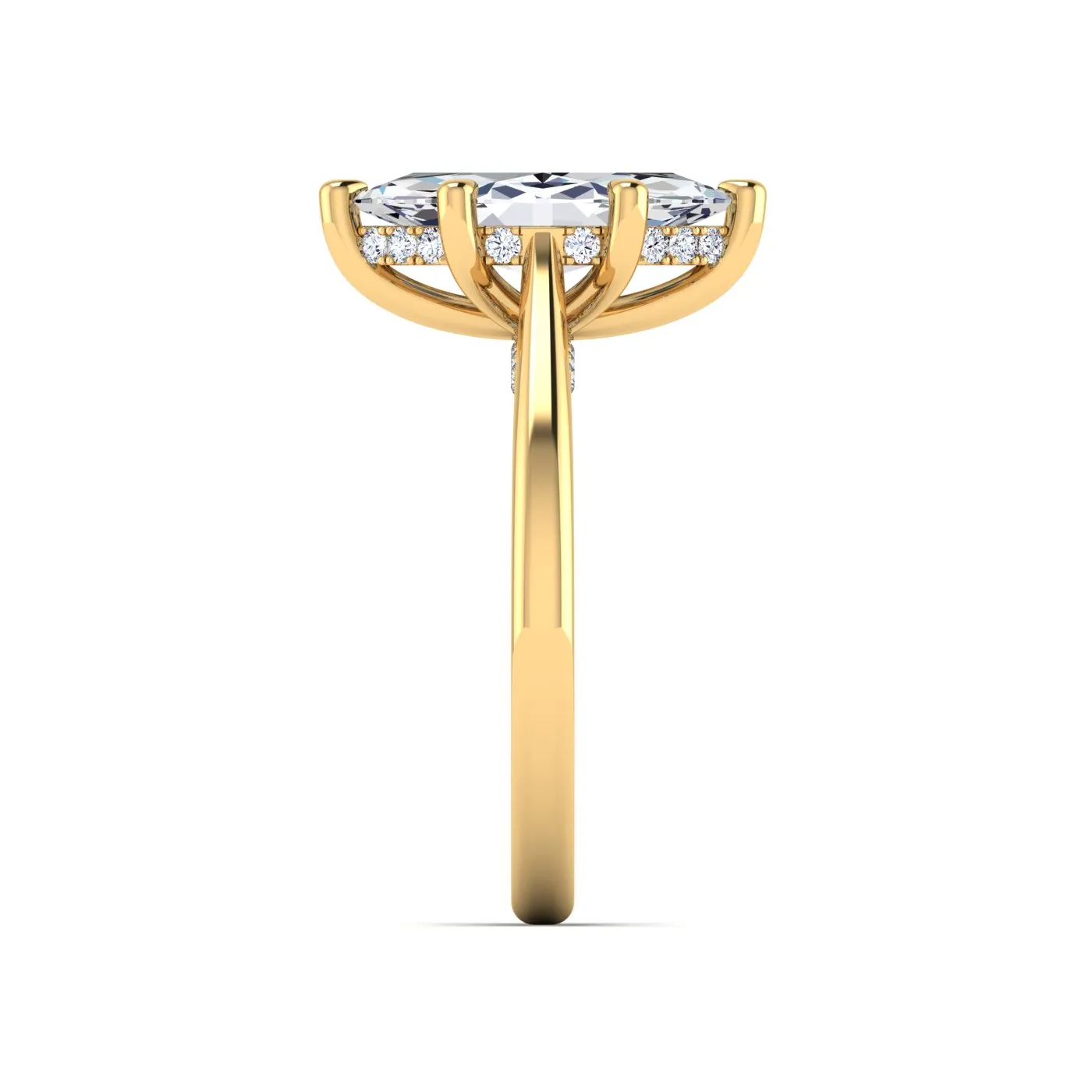 Ring Image 6