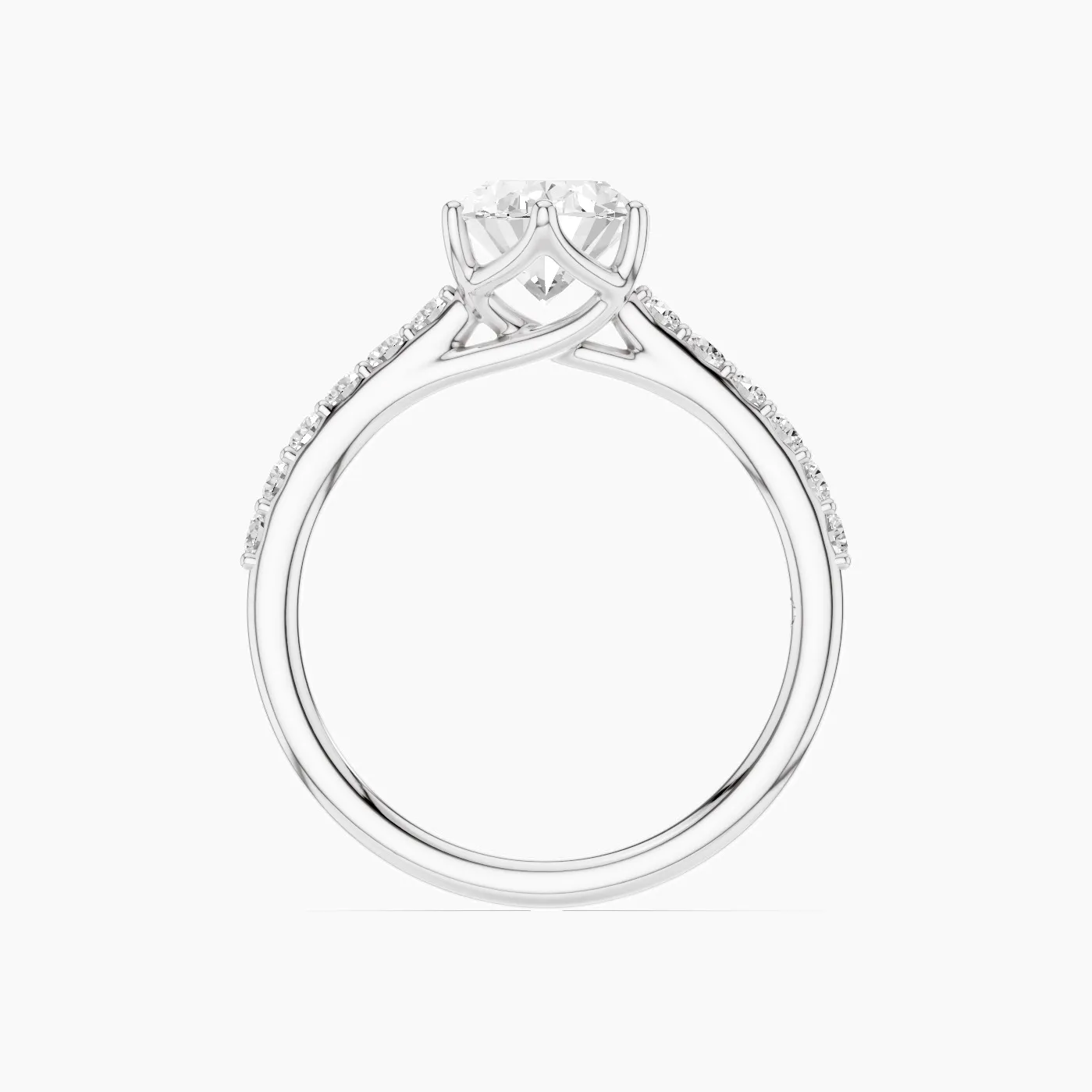 Ring Image 3