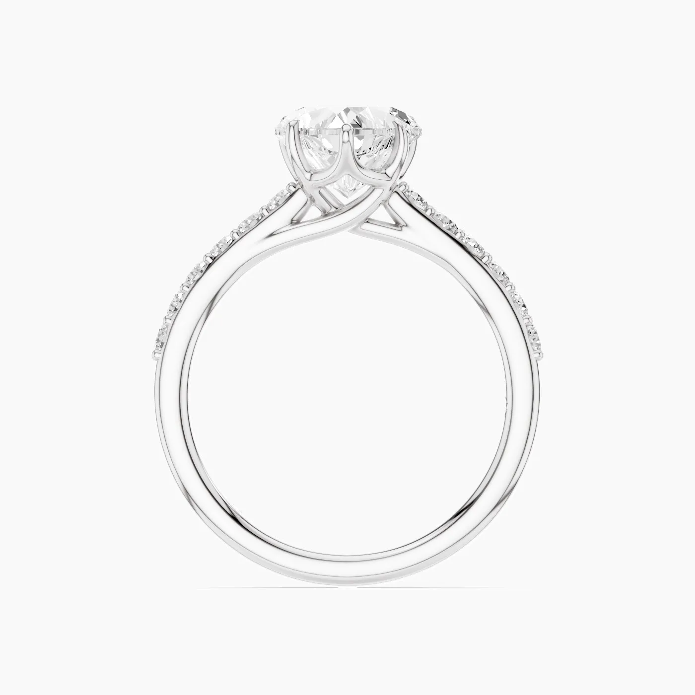 Ring Image 3