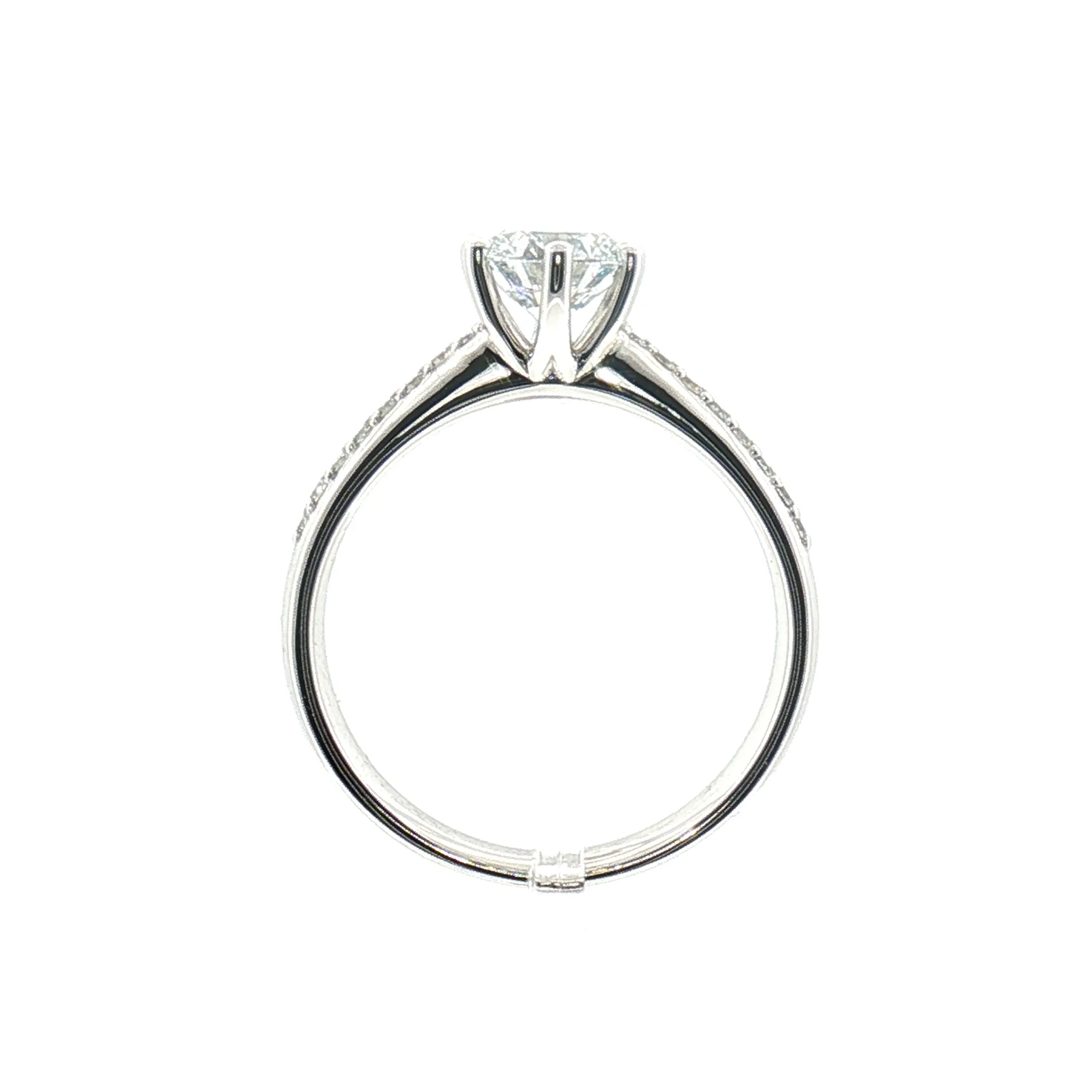 Ring Image 1