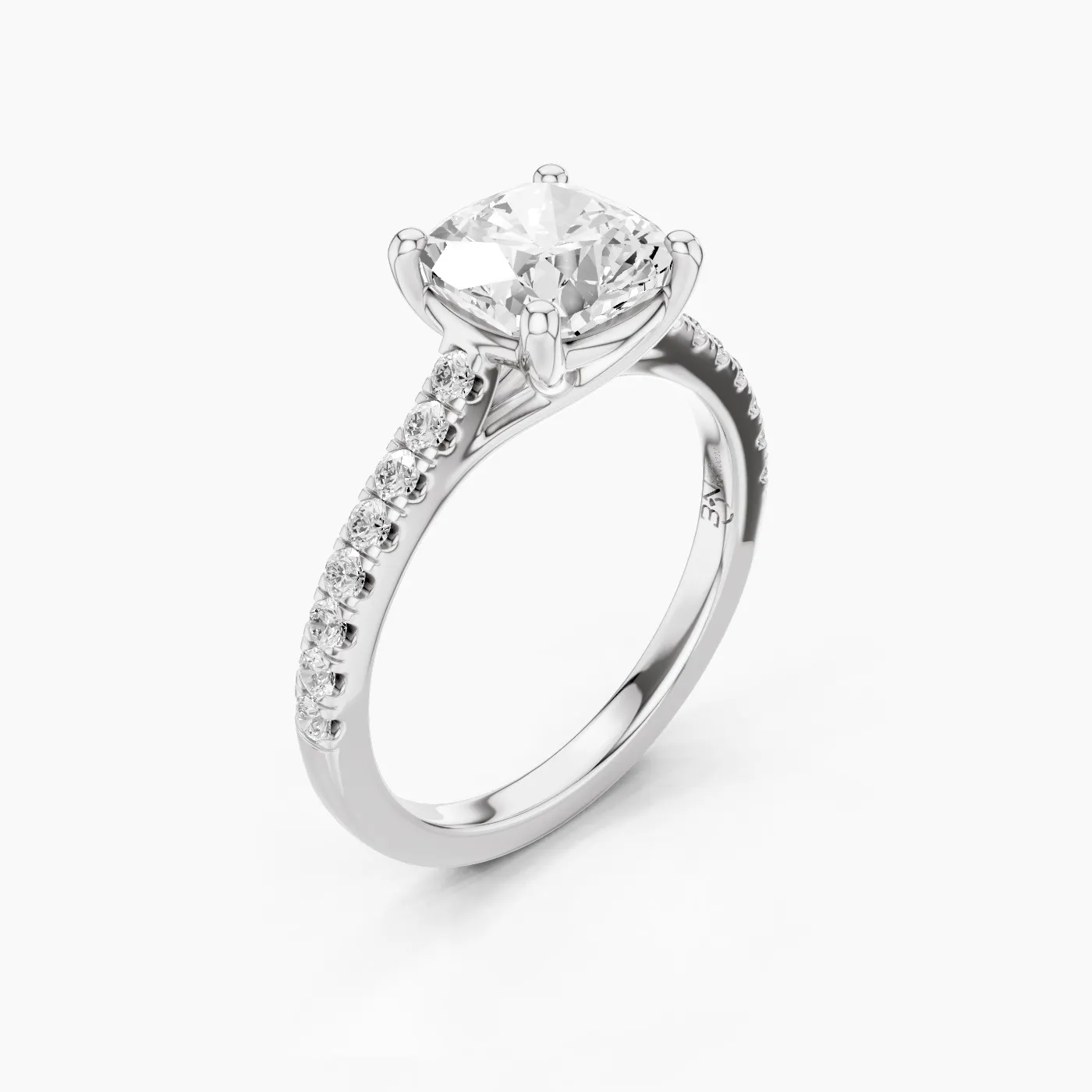 Ring Image 2