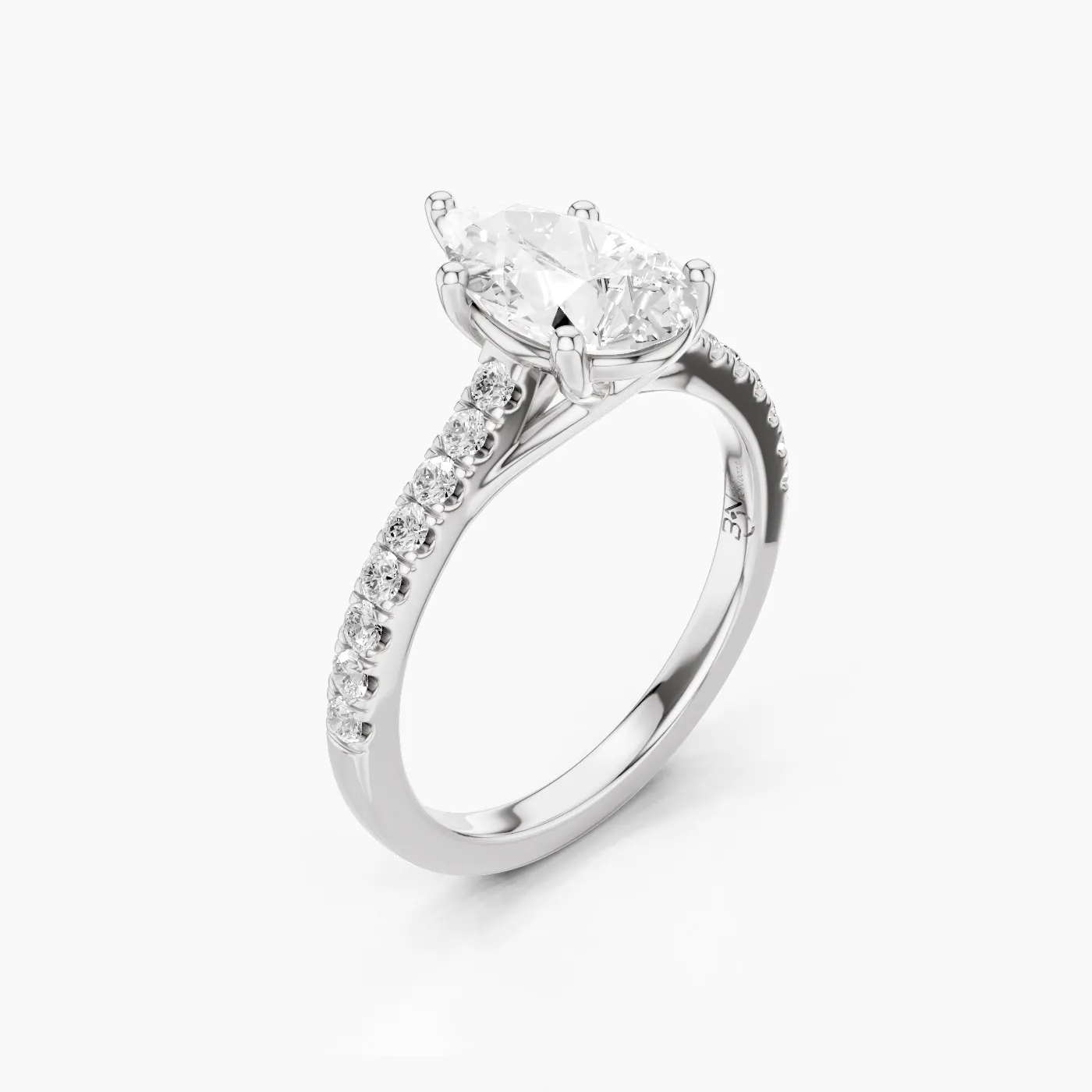 Ring Image 2
