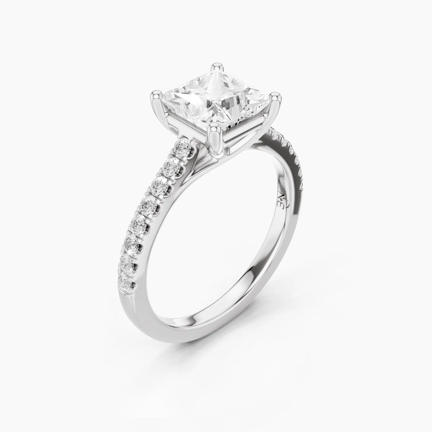 Ring Image 2