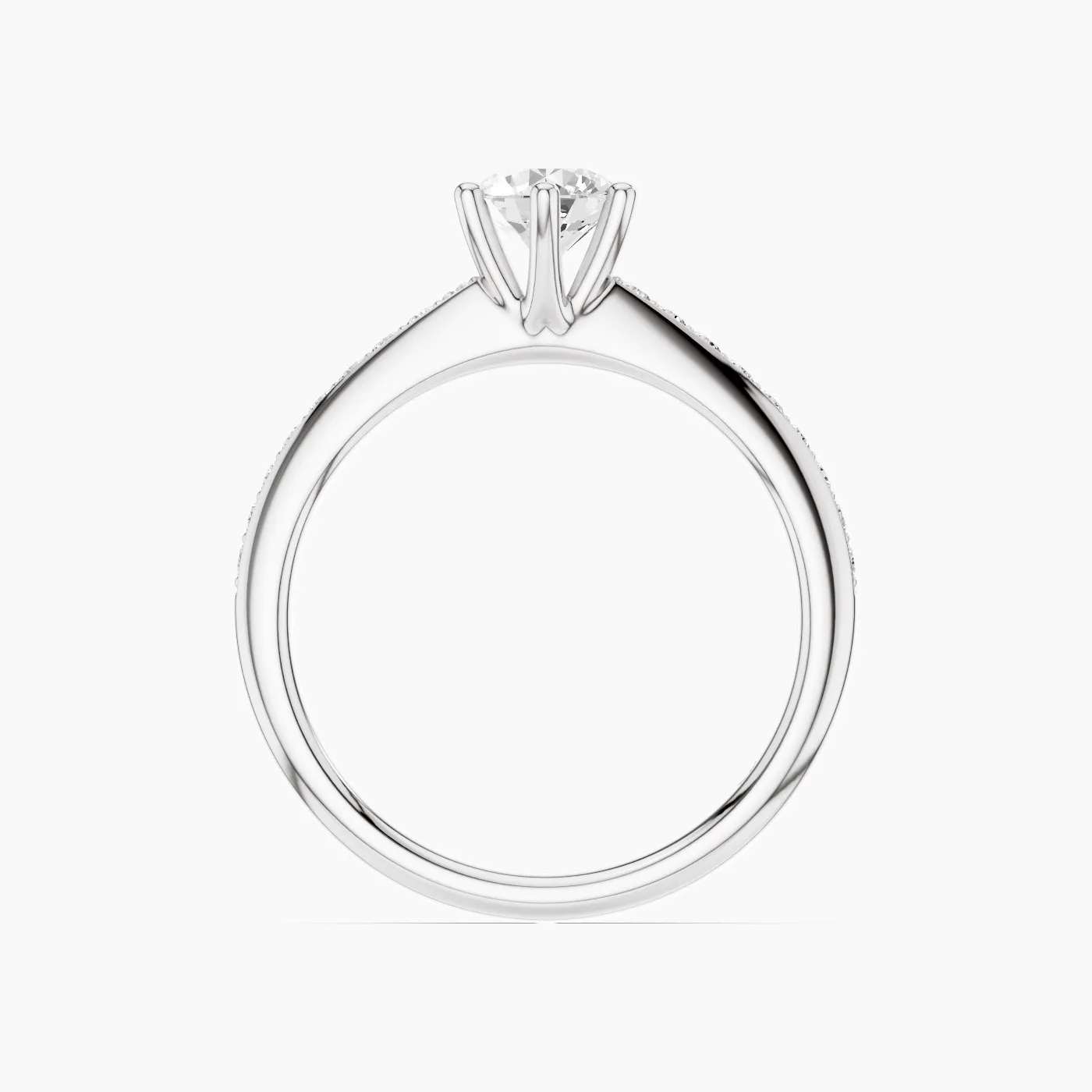 Ring Image 4