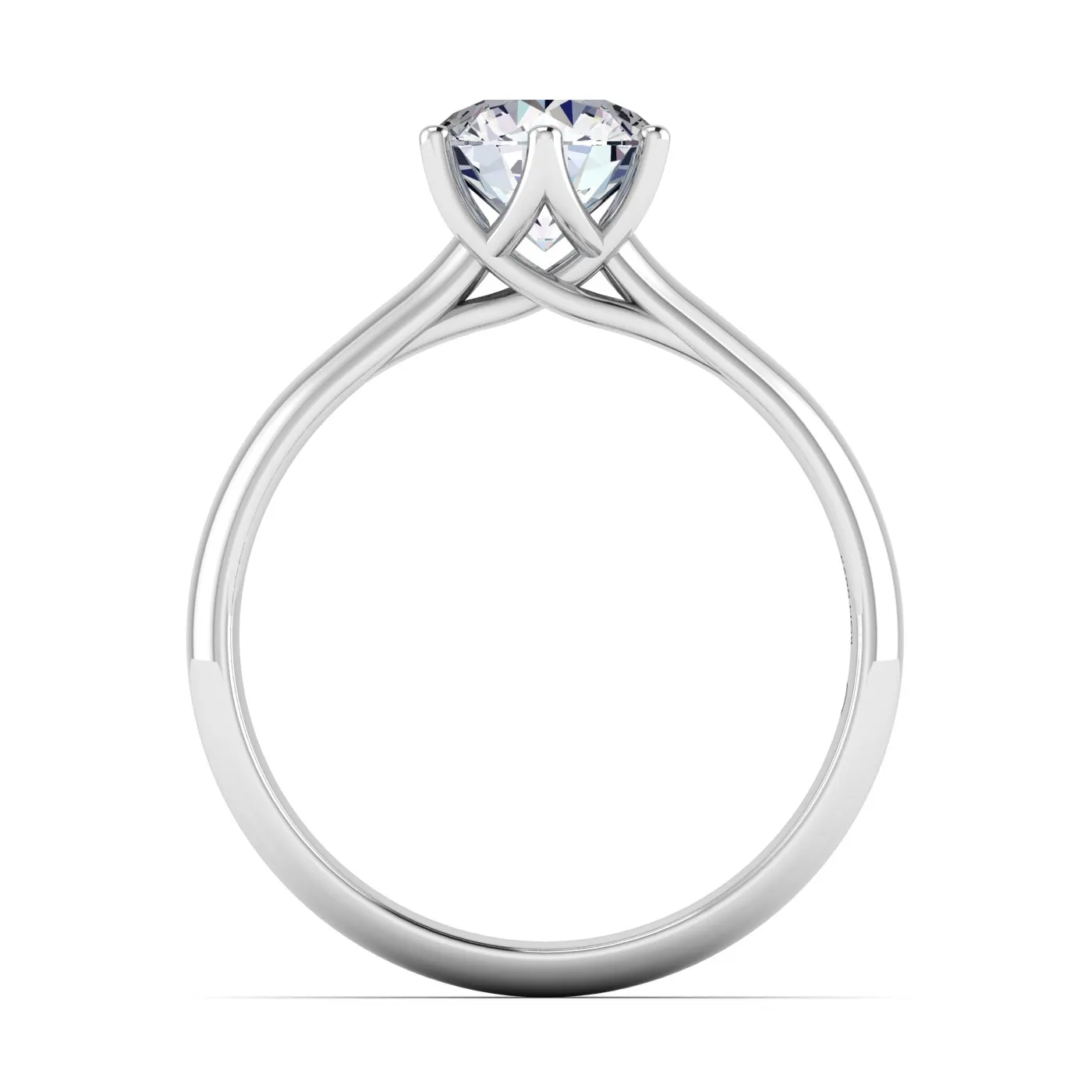 Ring Image 6