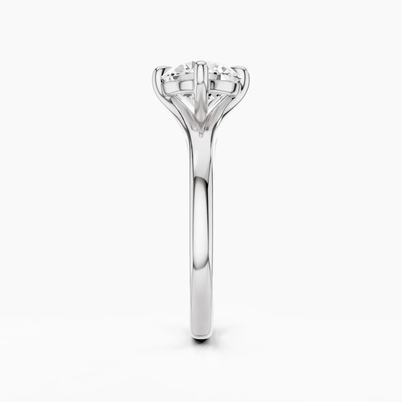 Ring Image 4