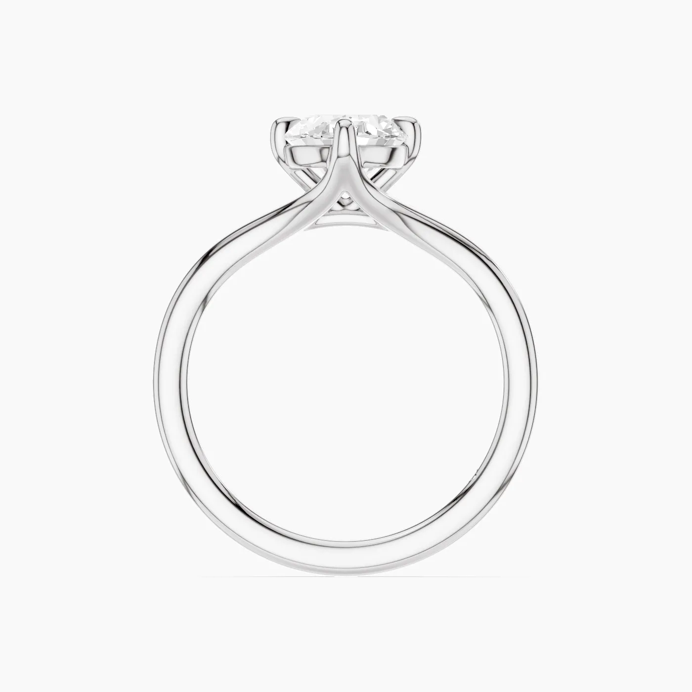 Ring Image 3