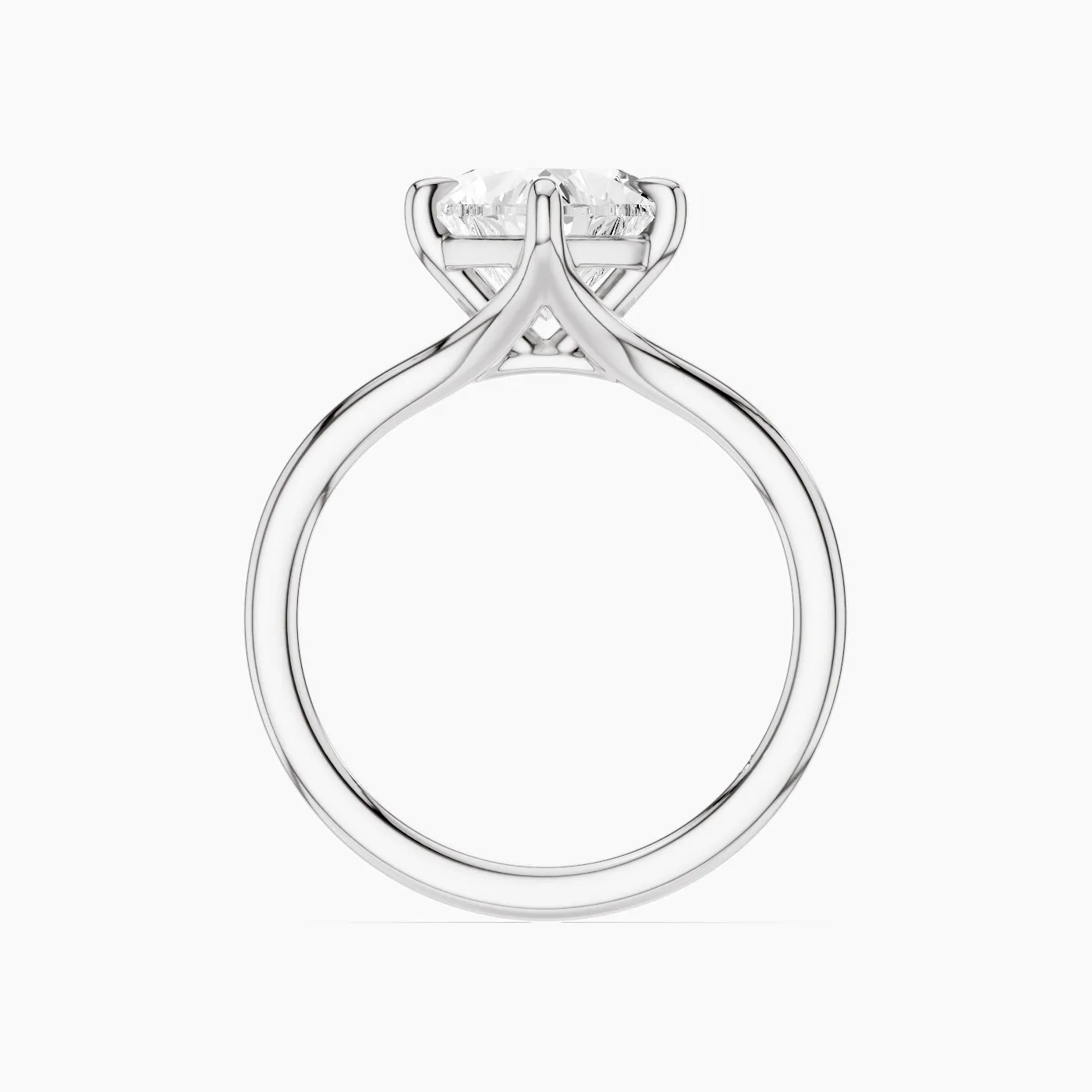Ring Image 3