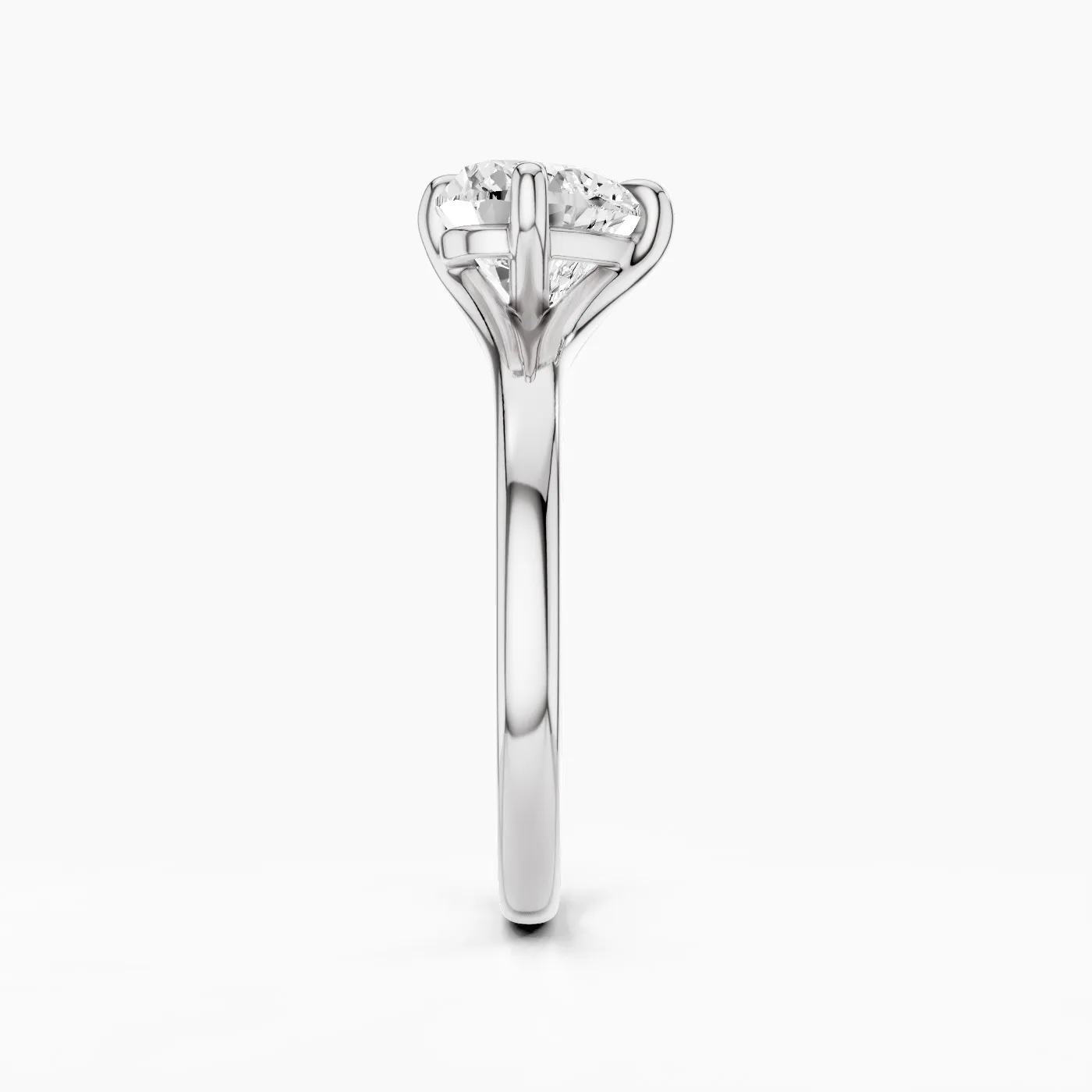 Ring Image 4