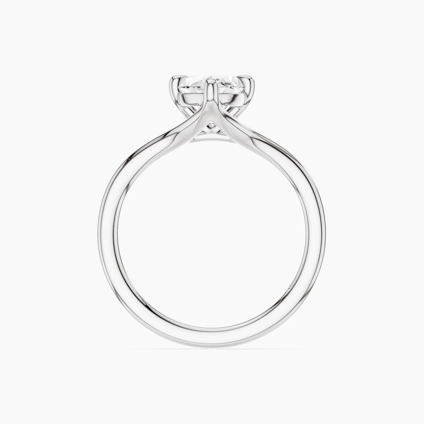 Ring Image 3