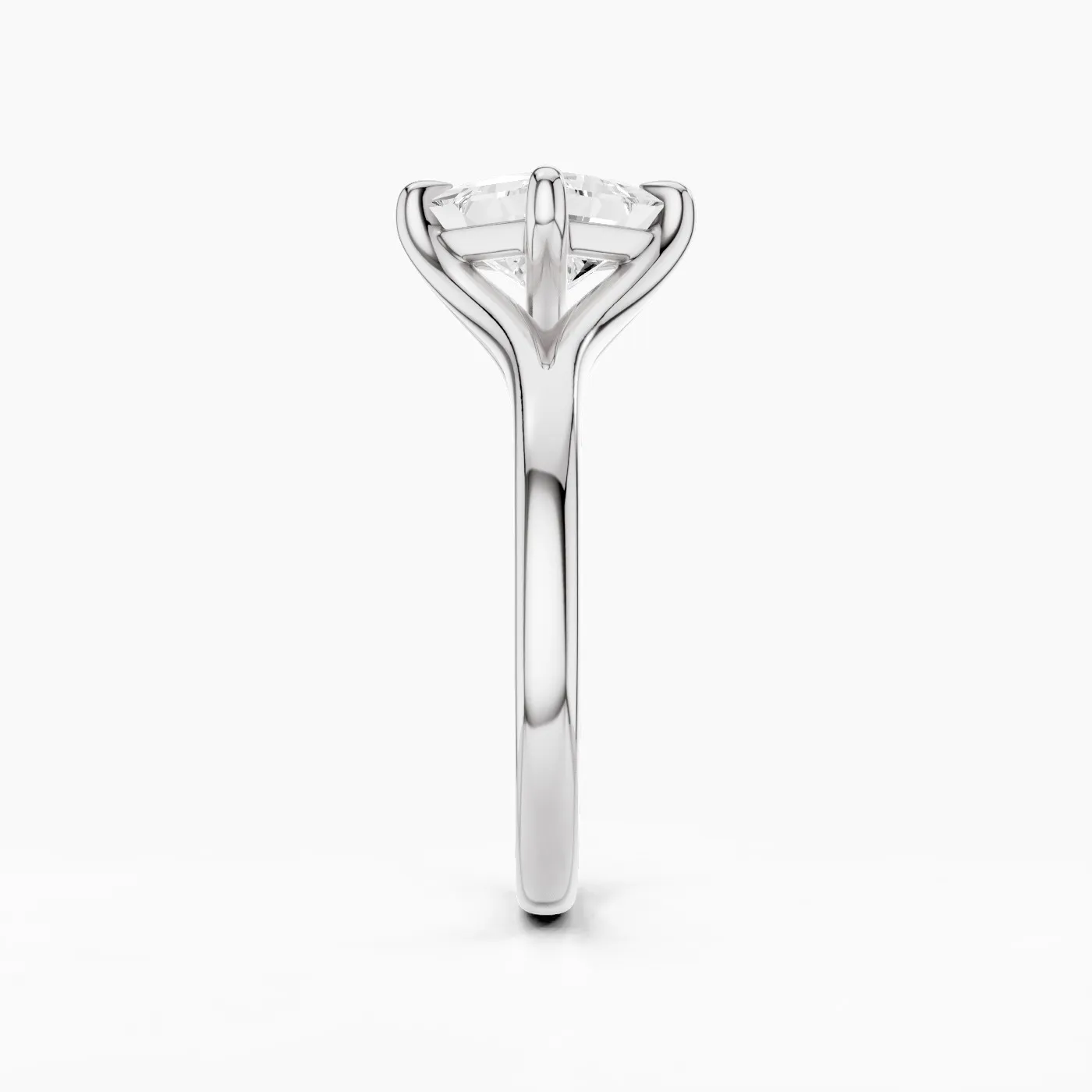 Ring Image 4