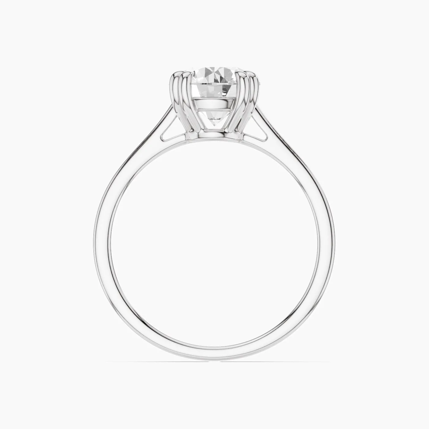 Ring Image 3