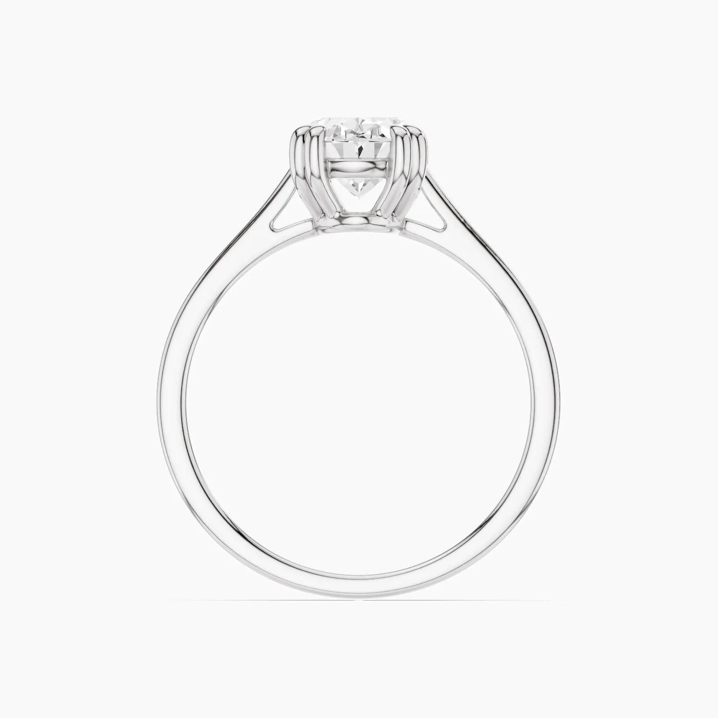 Ring Image 3
