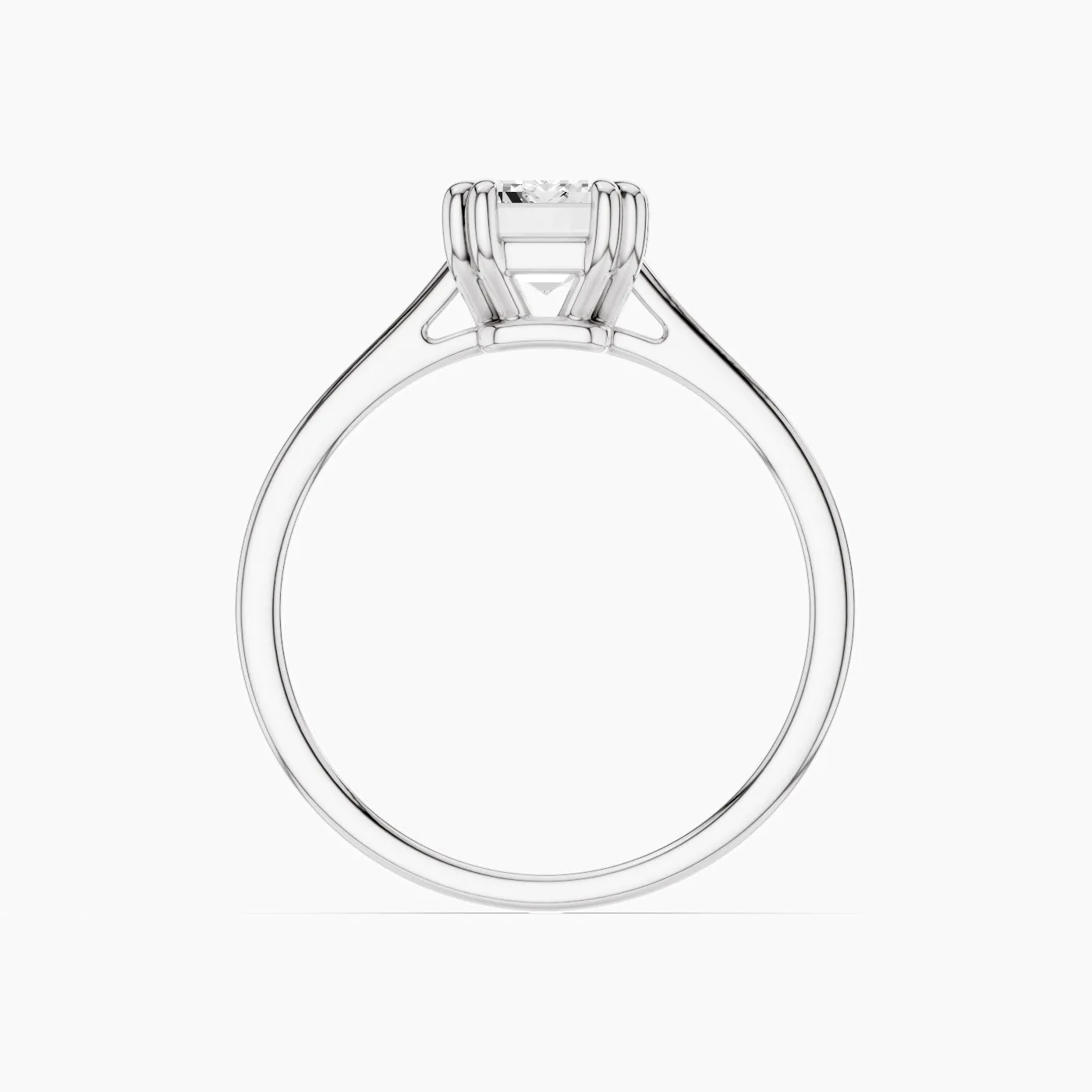 Ring Image 3
