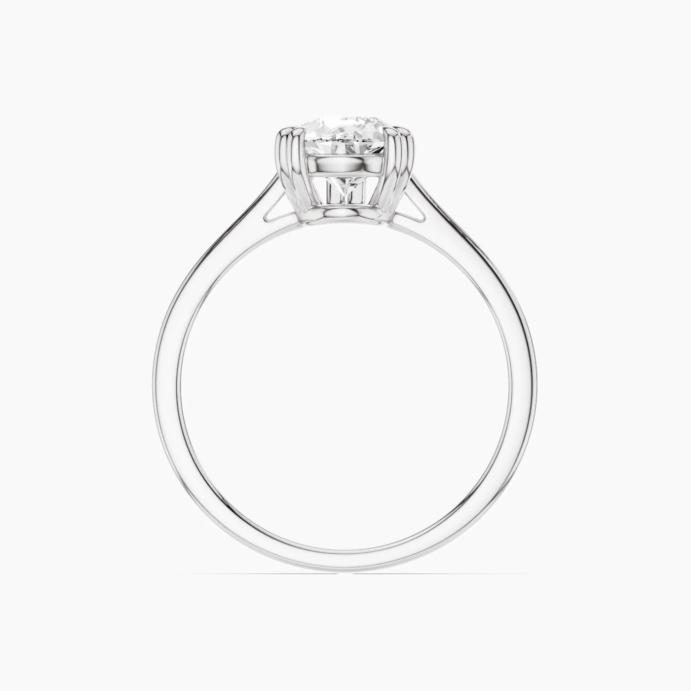 Ring Image 3