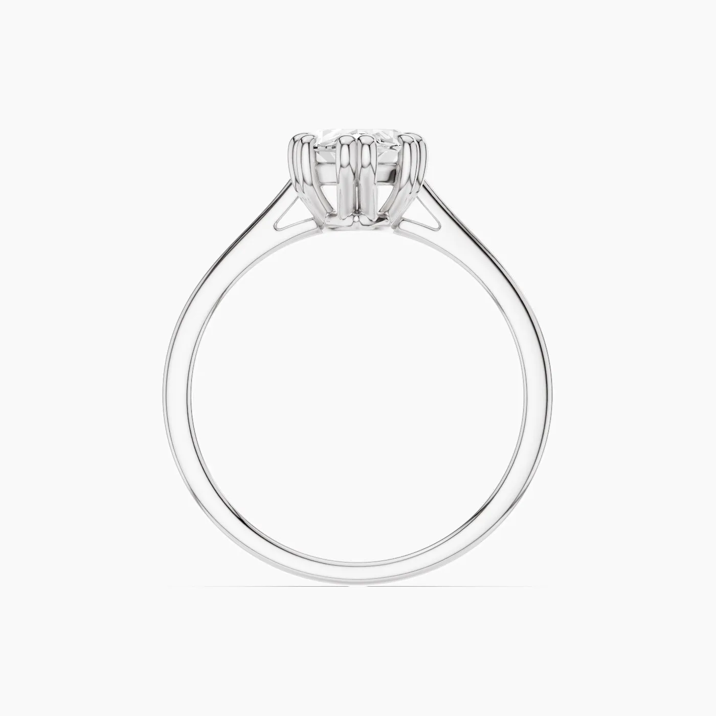 Ring Image 3