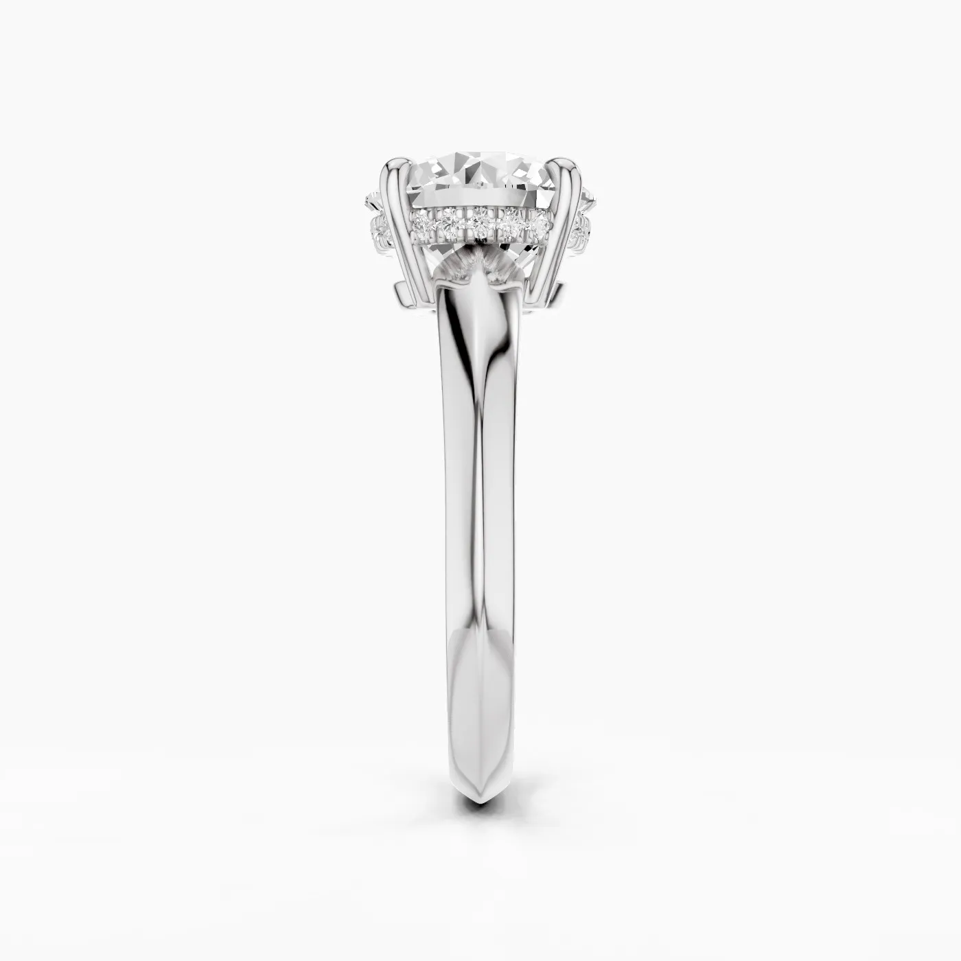Ring Image 4