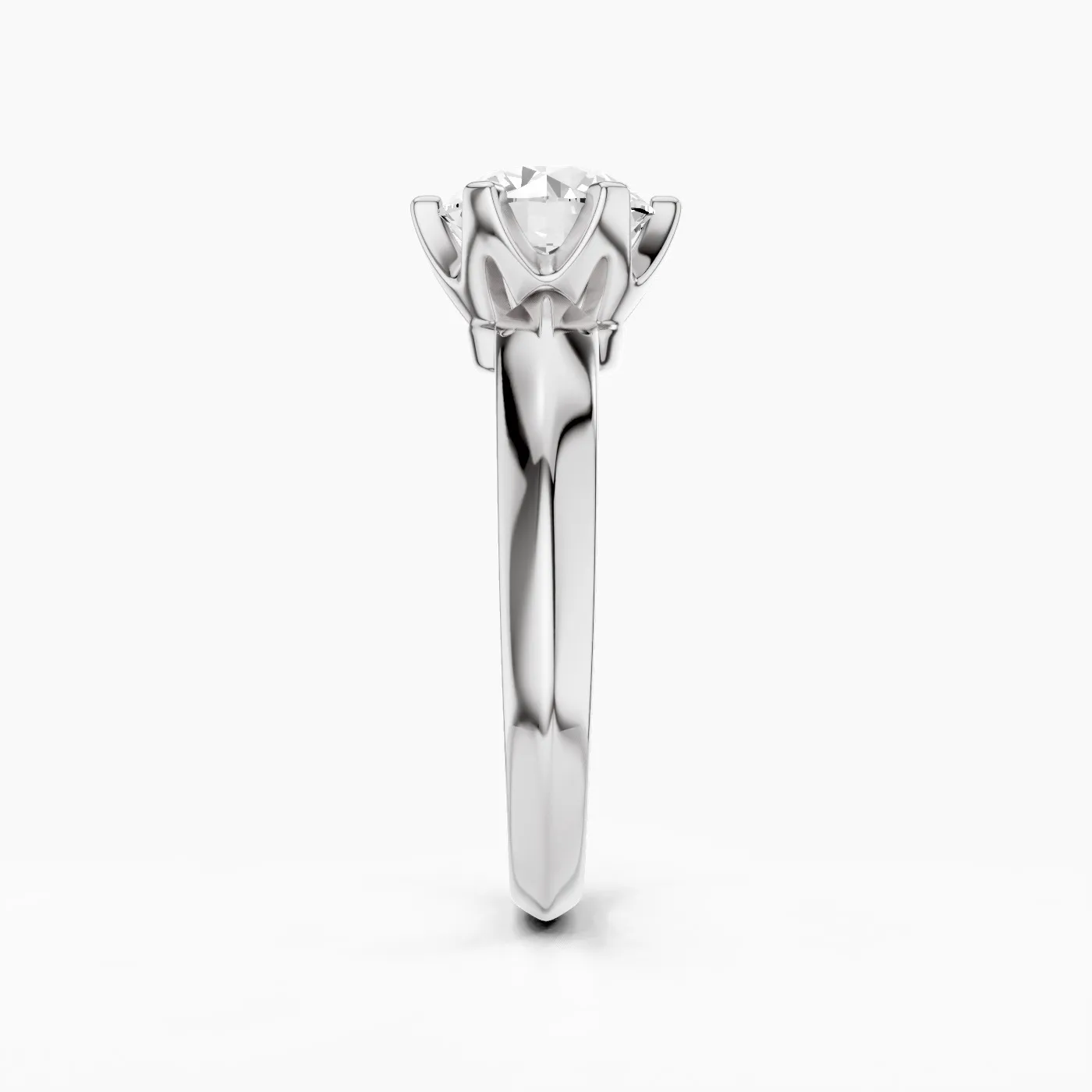 Ring Image 6