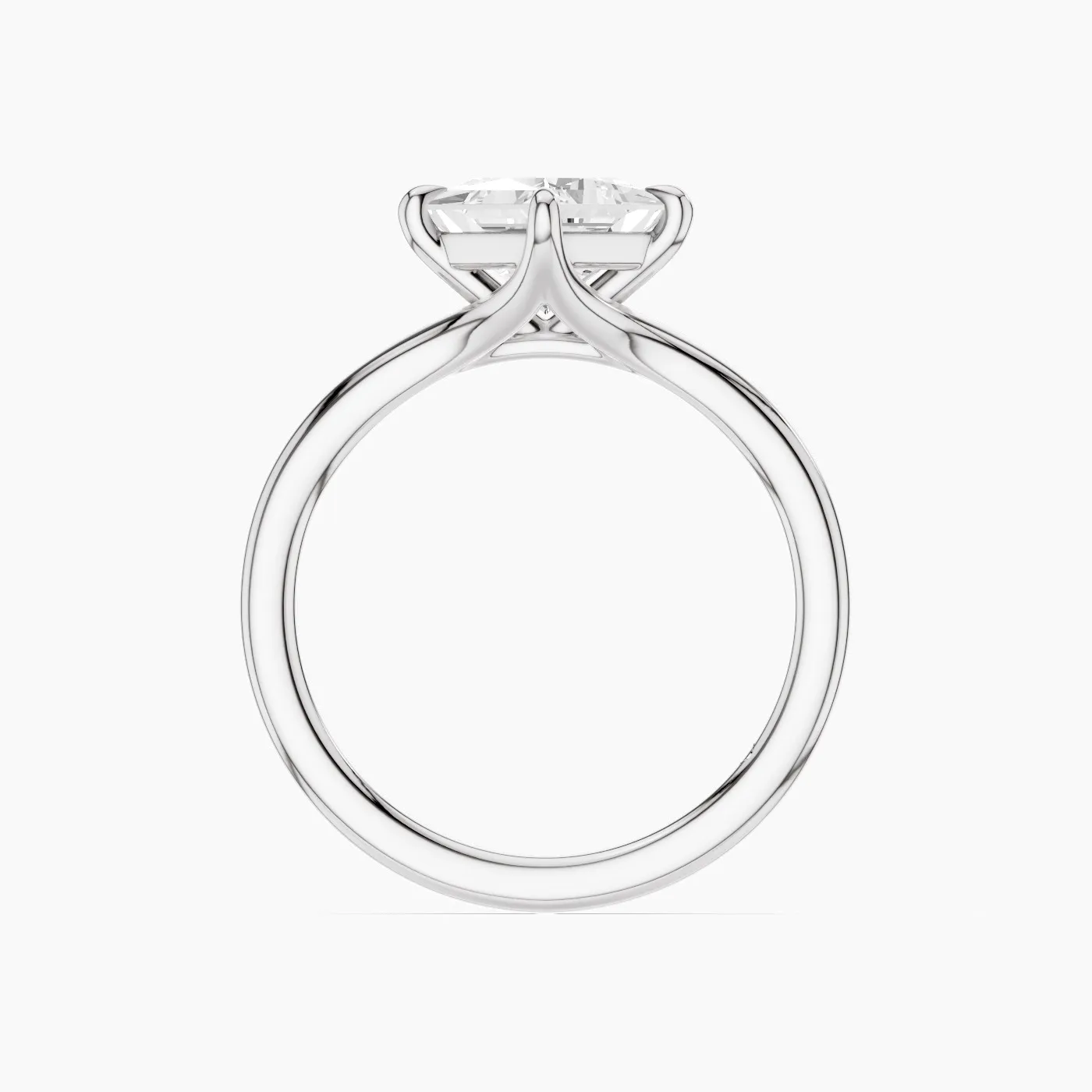 Ring Image 4
